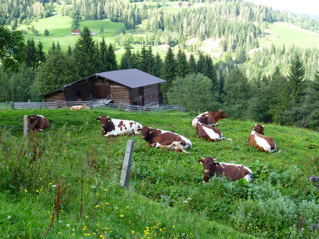 Appartements Oberhof Wagrain Esterno foto