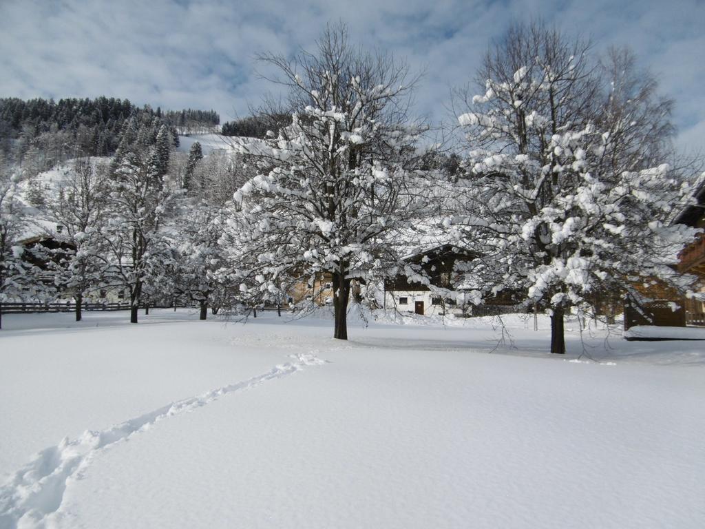 Appartements Oberhof Wagrain Esterno foto